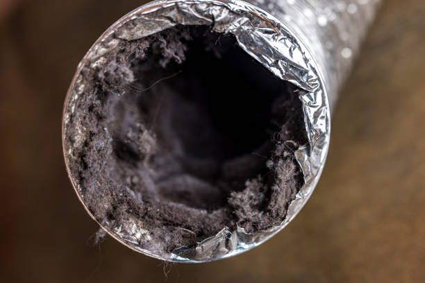 Best HVAC System Cleaning  in Los Alamos, NM